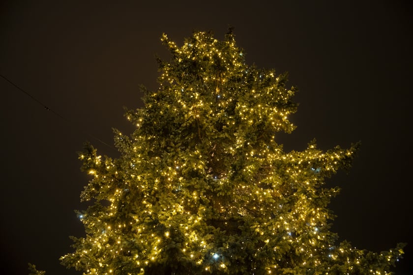 Choinka na Dobrzyńskiej. Świąteczne iluminacje we Wrocławiu